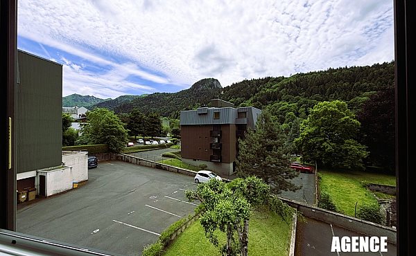Appartement à vendre, 20m², Mont-Dore