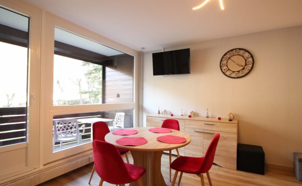 Appartement à louer, 35m², Mont-Dore