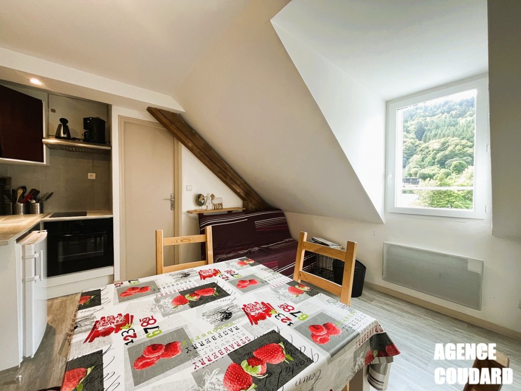 Appartement à vendre, 23m², Mont-Dore