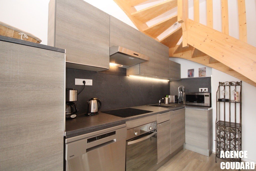 Appartement à louer, 46m², Mont-Dore