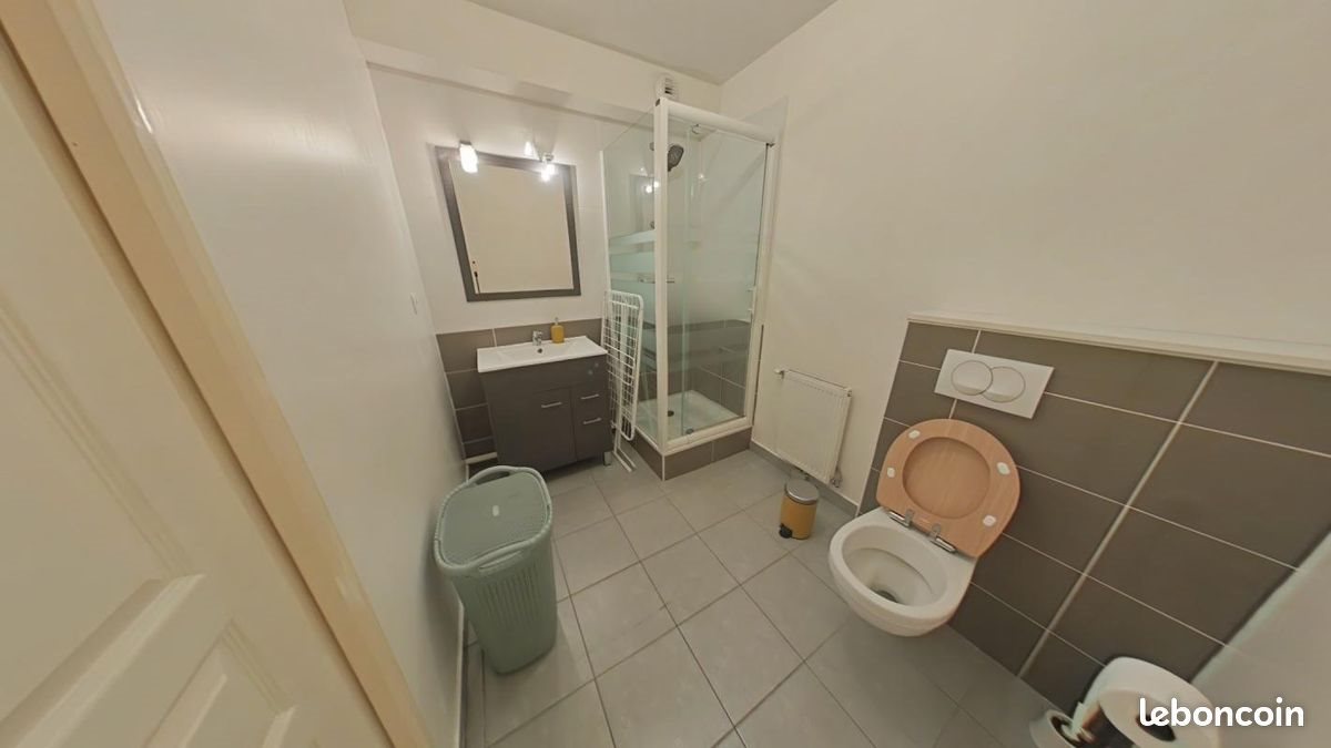 Appartement à louer, 29m², Saint-Etienne