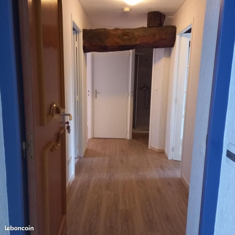 Appartement à louer, 52m², Saint-Symphorien-sur-Coise