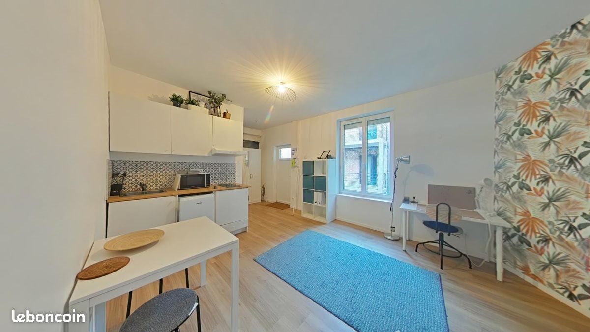 Appartement à louer, 24m², Saint-Etienne