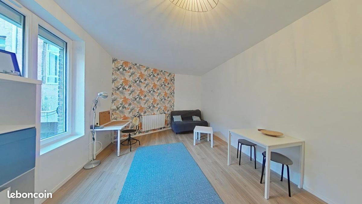 Appartement à louer, 24m², Saint-Etienne
