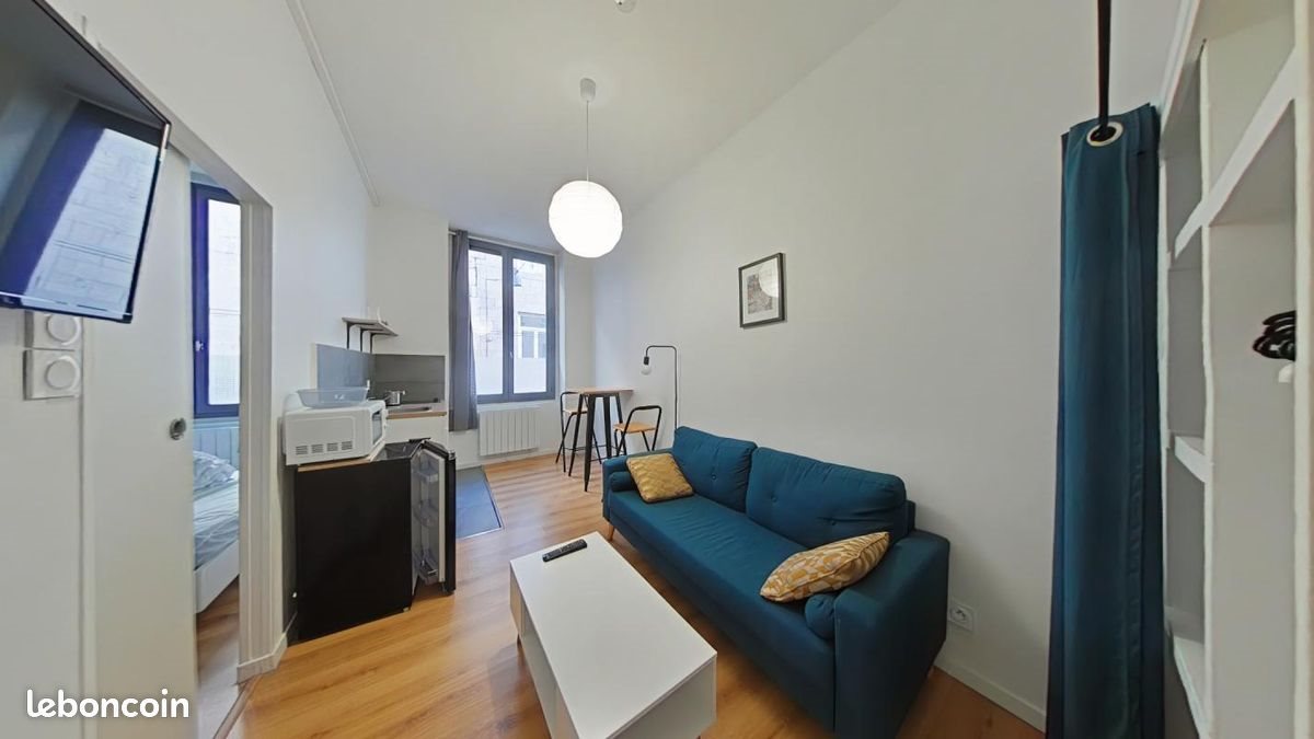 Appartement à louer, 25m², Saint-Etienne
