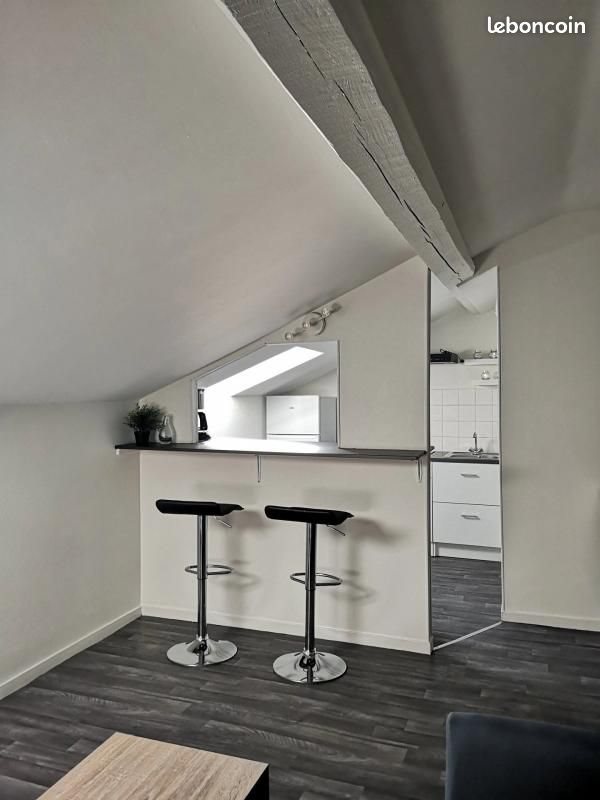 Appartement à louer, 25m², Saint-Priest-en-Jarez