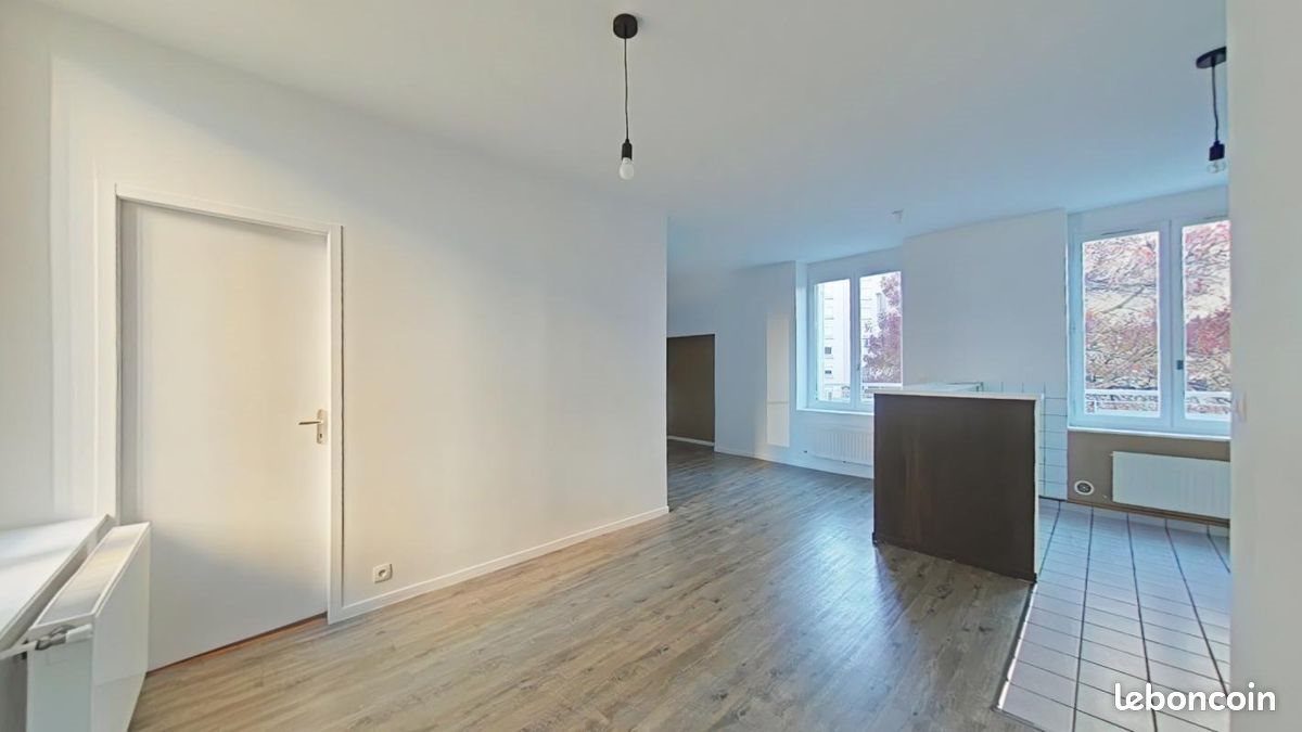 Appartement à louer, 47m², Saint-Etienne