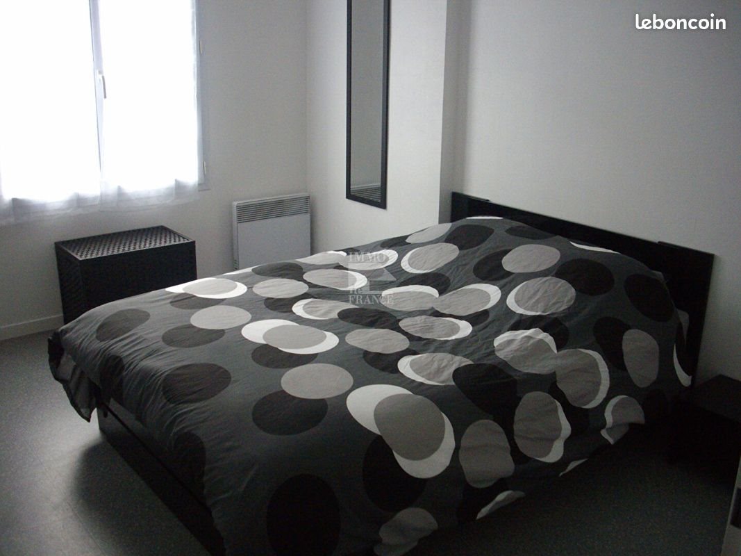 Appartement à louer, 39m², Angers