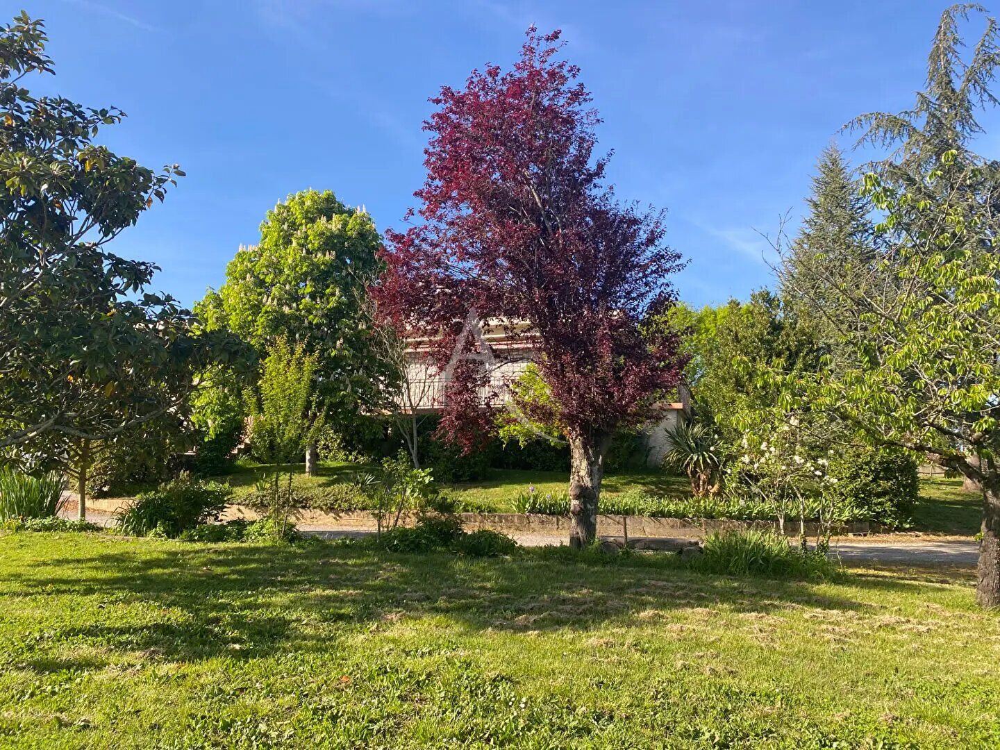 Maison à vendre, 182m², Montrabé