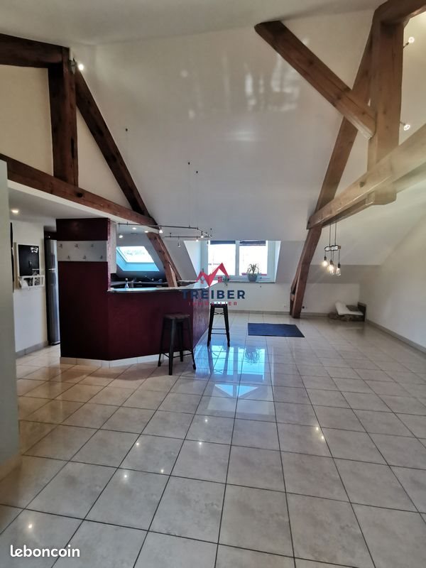 Appartement à vendre, 150m², Belfort