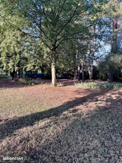 Advert pic 0