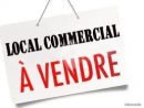 Maison à vendre, 460m², Saint-Germain-du-Puy
