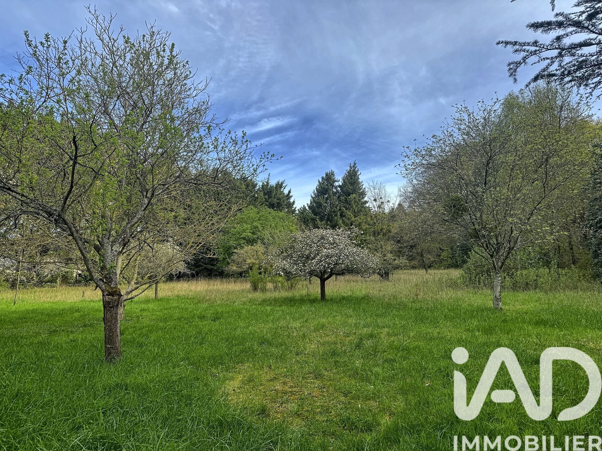 Maison à vendre, 145m², Blangy-sur-Bresle