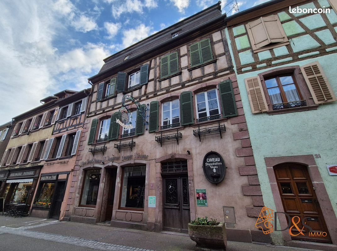 Maison à vendre, 600m², Ribeauvillé