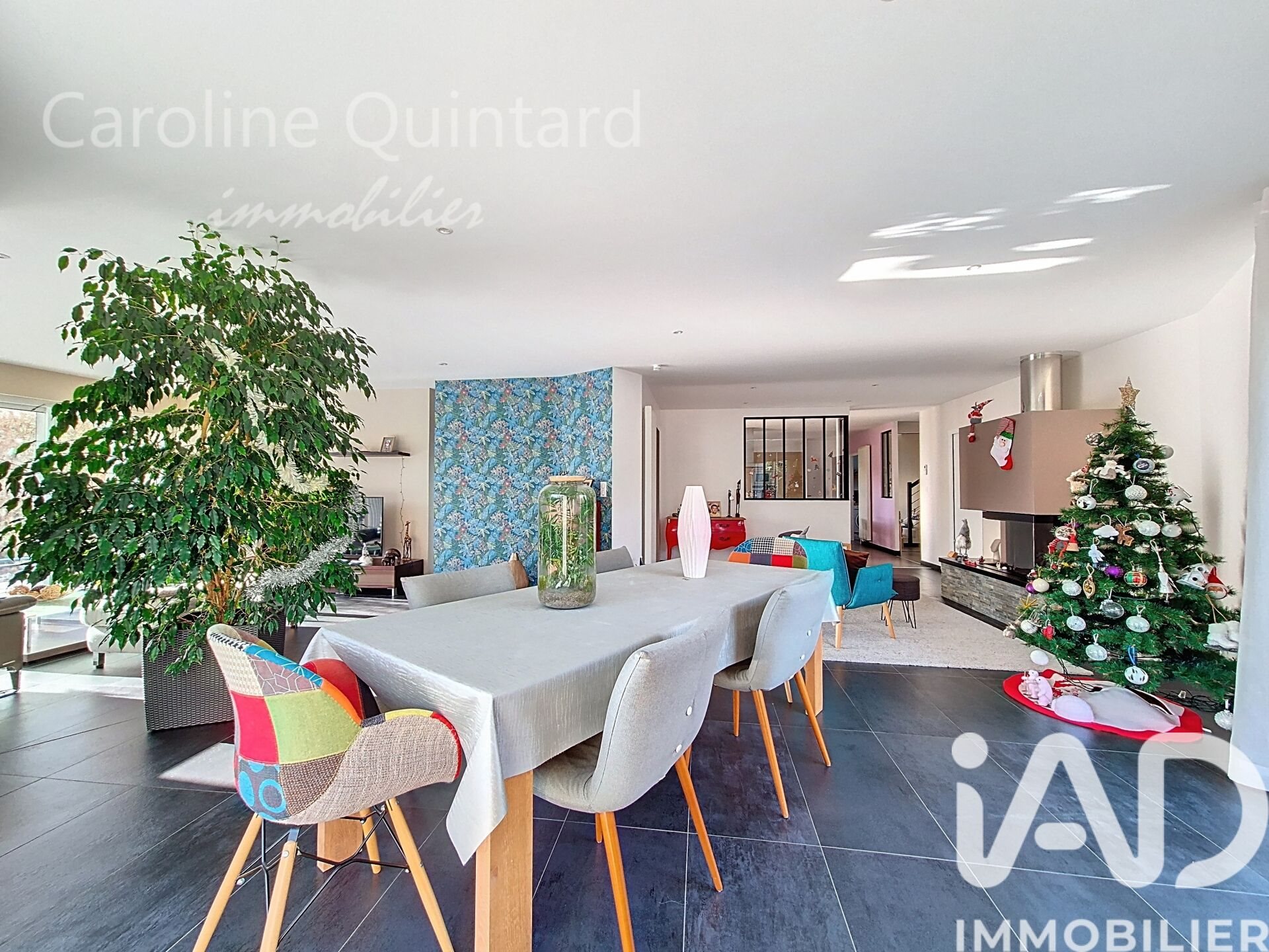 Maison à vendre, 202m², Tournefeuille