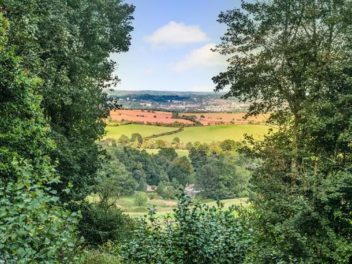 Advert pic 0