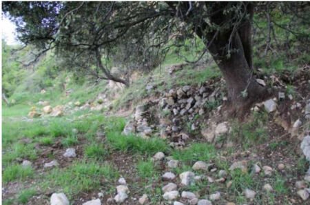 Land for sale in Sant Julià de Lòria · 2 of 3