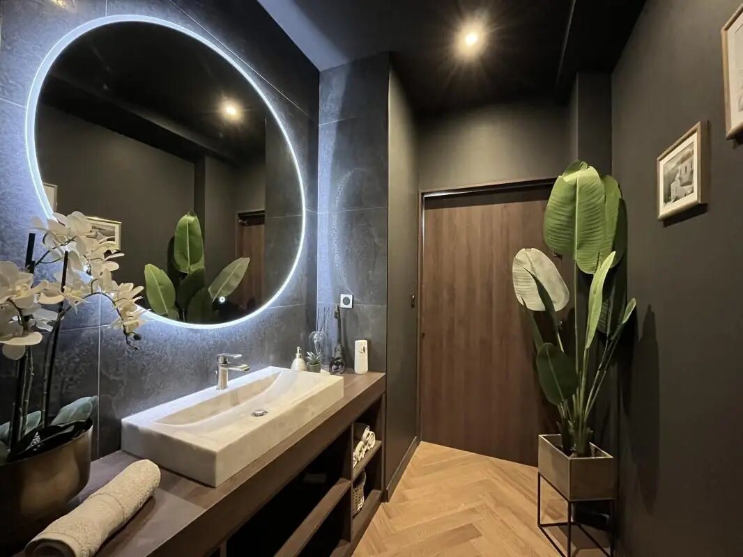 Maison à vendre, 341m², Vézeronce-Curtin
