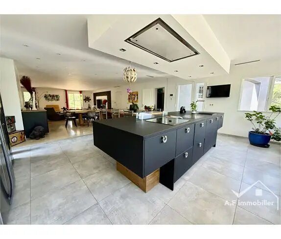 Maison à vendre, 201m², Fonsorbes