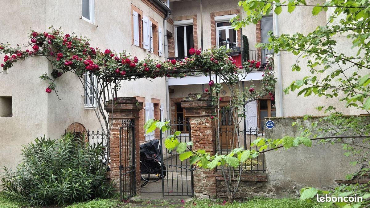 Appartement à vendre, 230m², Toulouse
