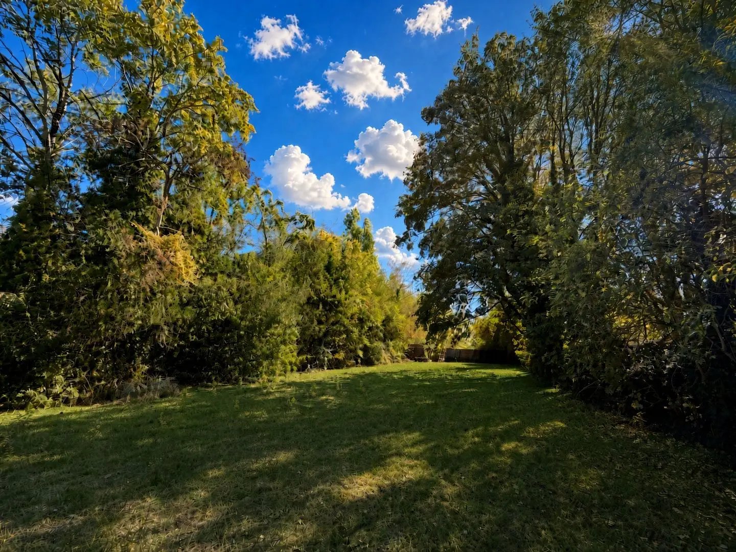Maison à vendre, 282m², Remauville