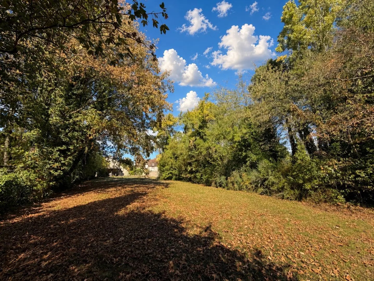 Maison à vendre, 282m², Remauville