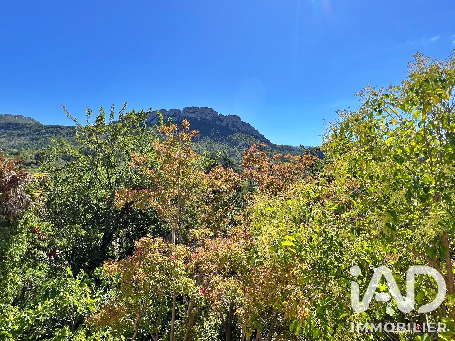 Maison à vendre, 197m², Buis-les-Baronnies