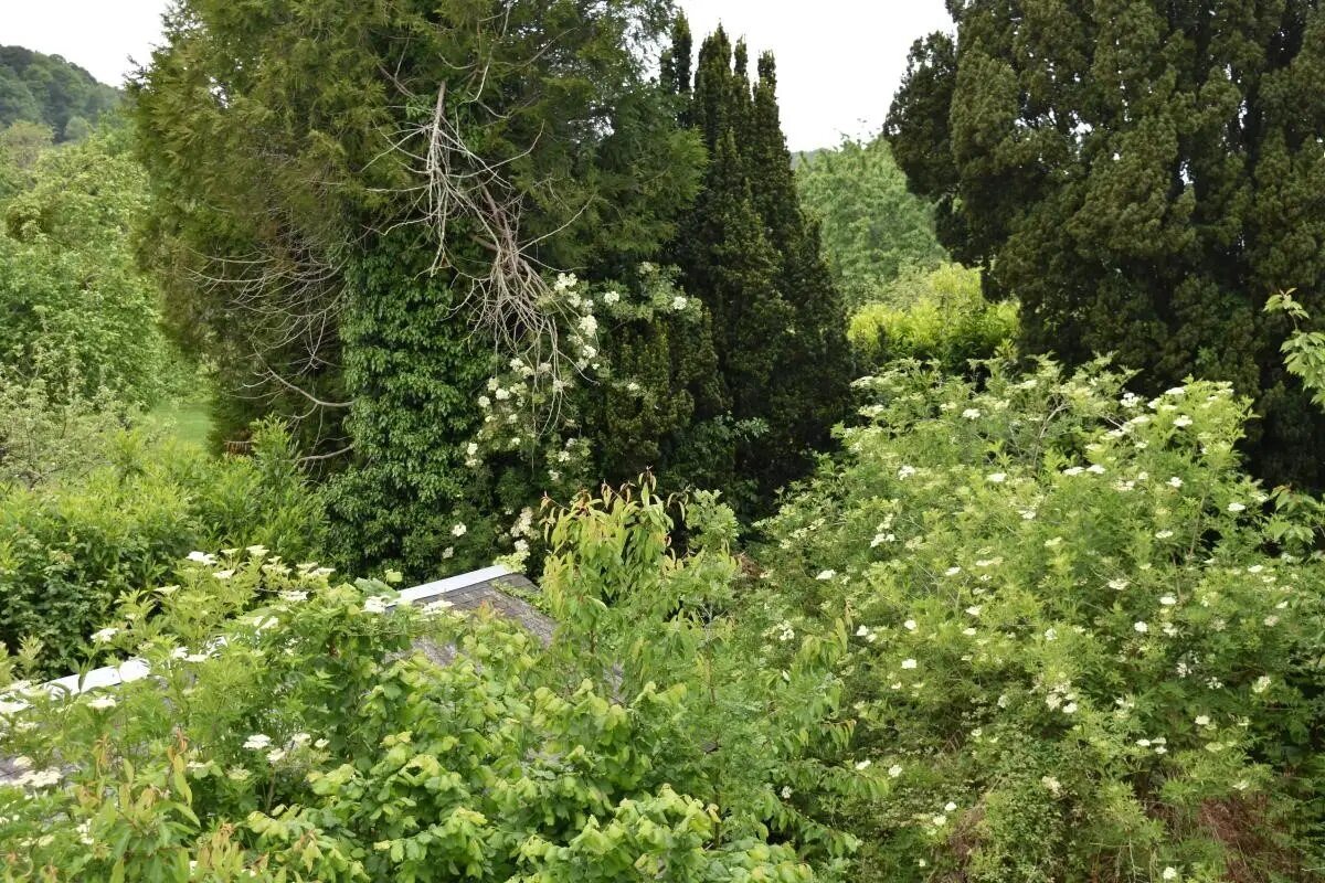 Maison à vendre, 130m², Pont-Audemer