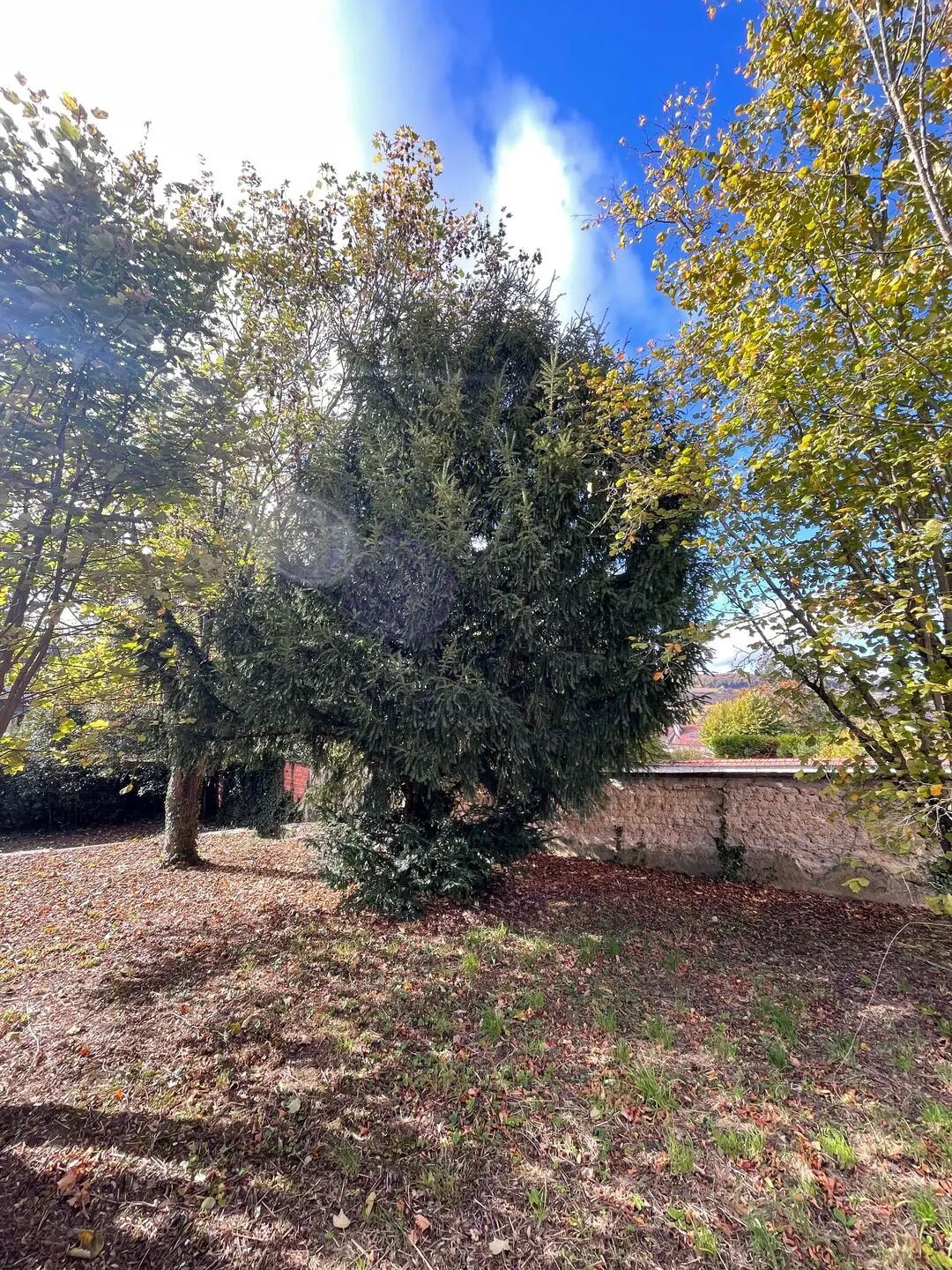 Appartement à louer, 23m², Épernay