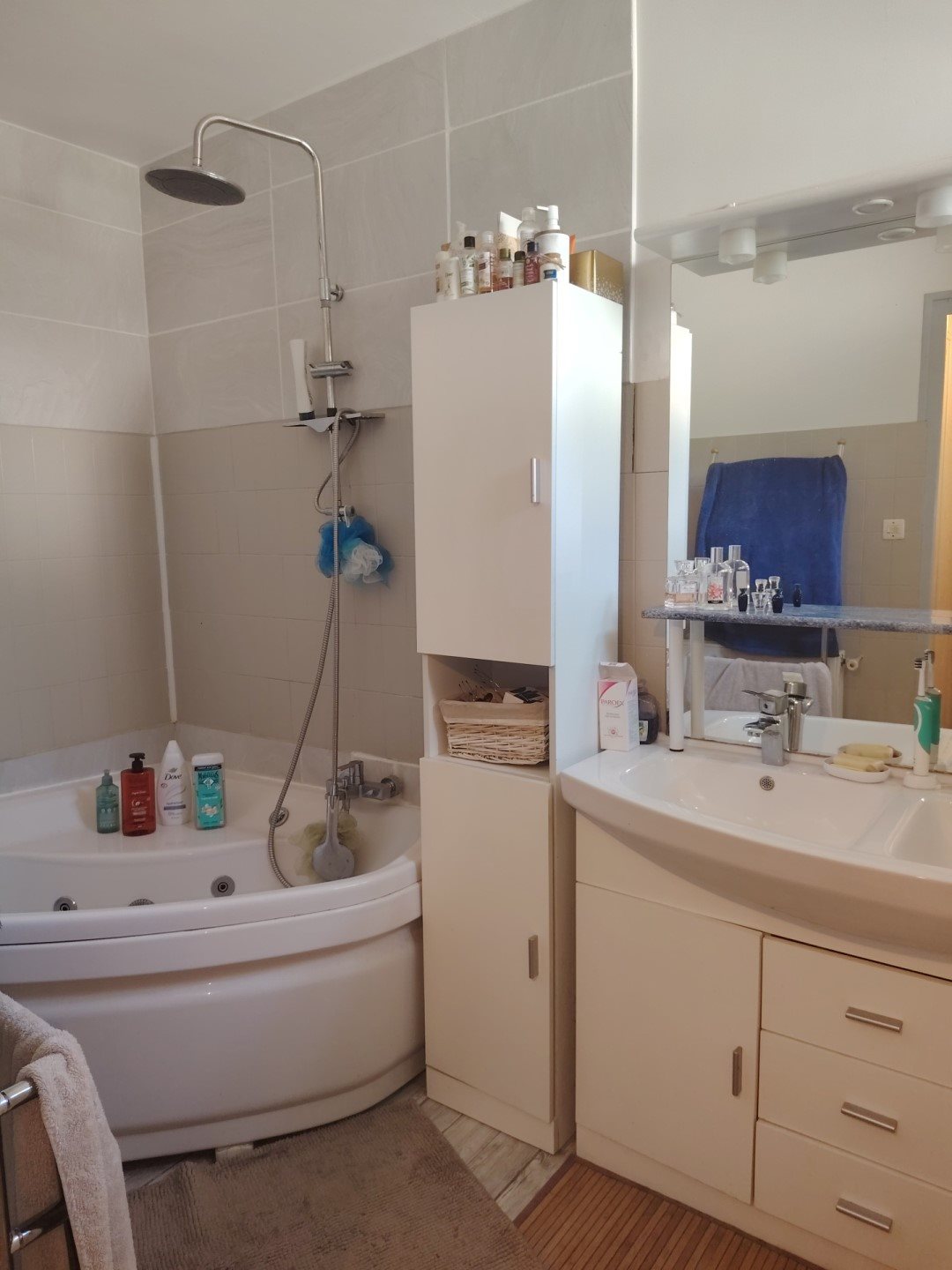 Maison à vendre, 408m², Dangé-Saint-Romain