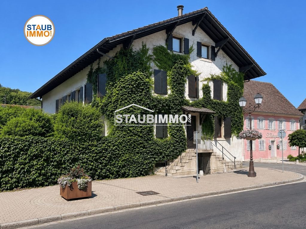 Maison à vendre, 290m², Oltingue