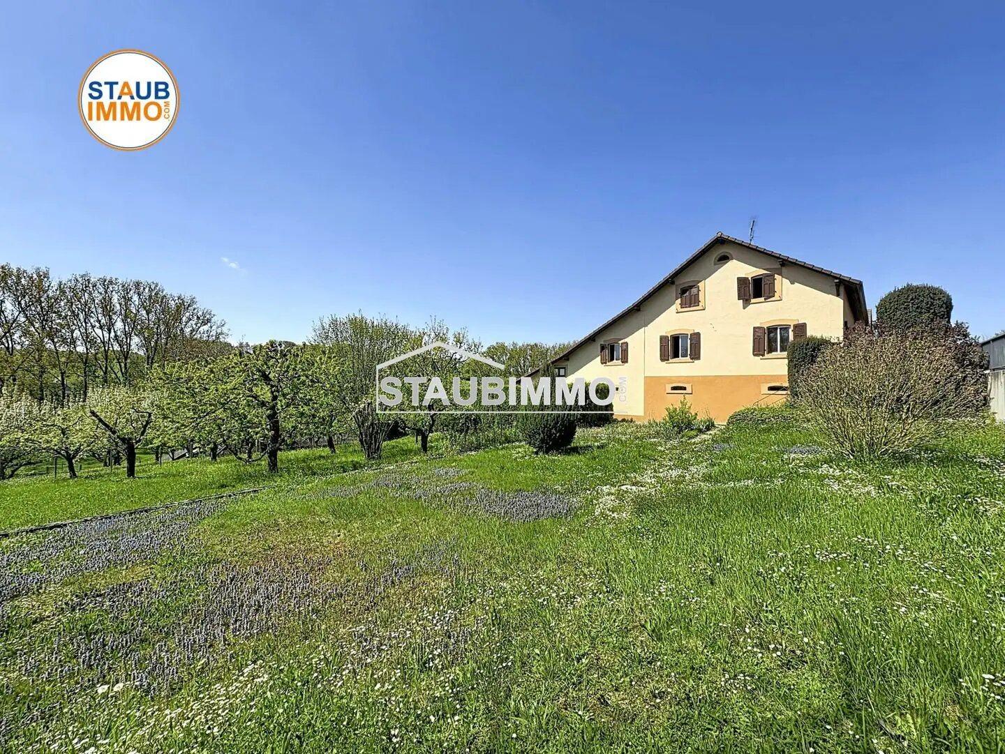 Maison à vendre, 155m², Roppentzwiller