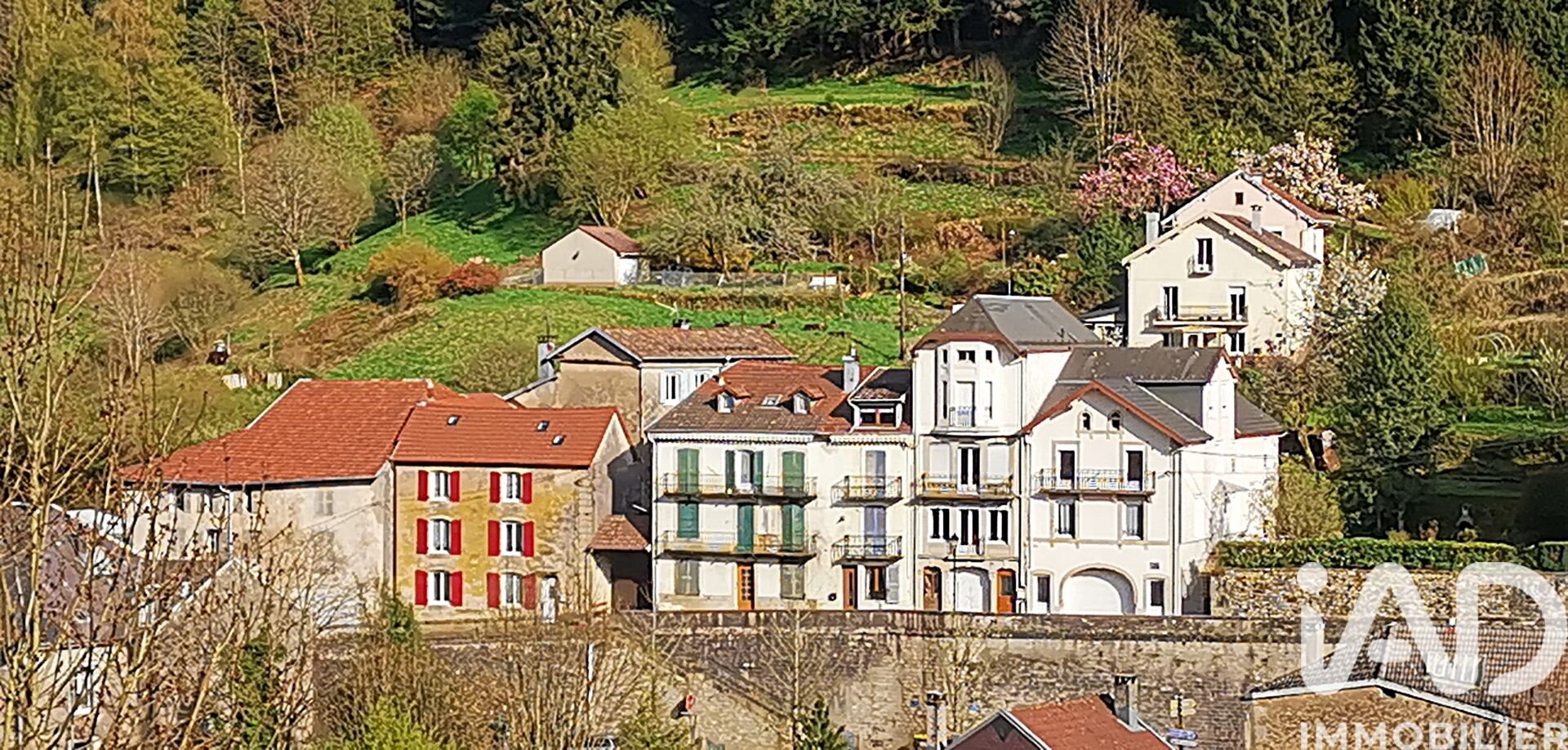 Maison à vendre, 150m², Plombières-les-Bains