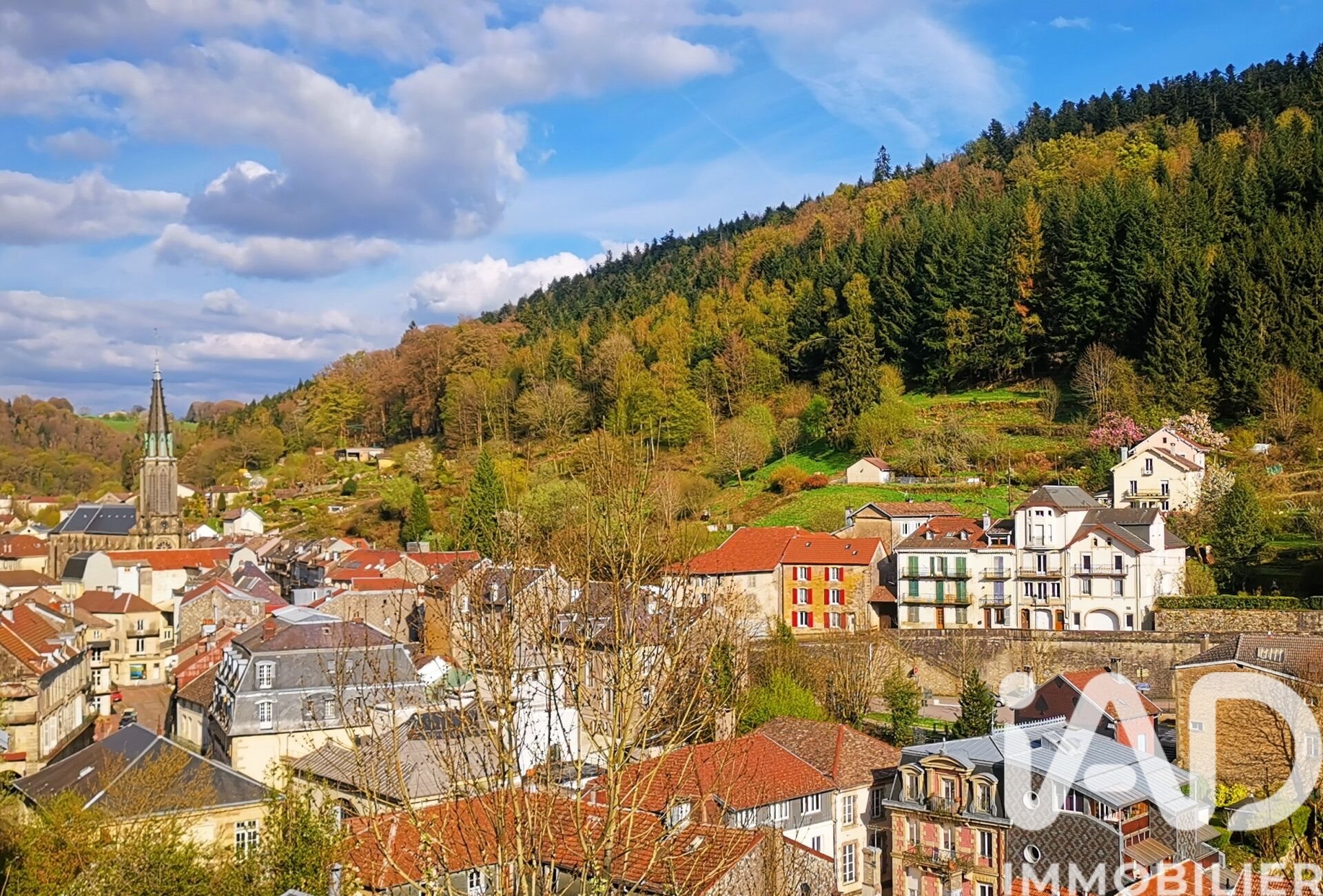 Maison à vendre, 150m², Plombières-les-Bains