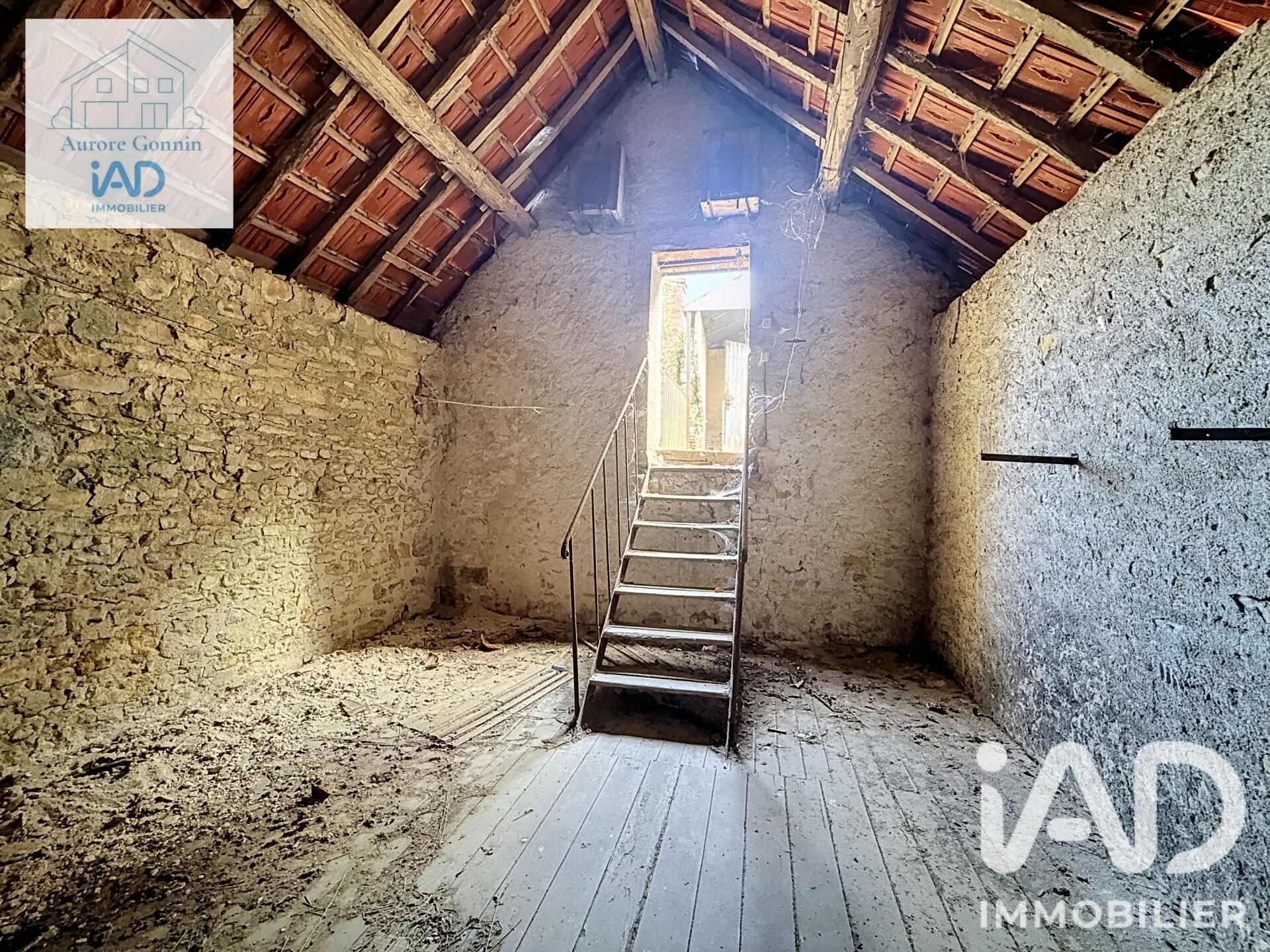Maison à vendre, 400m², Saint-Pierre-le-Moûtier
