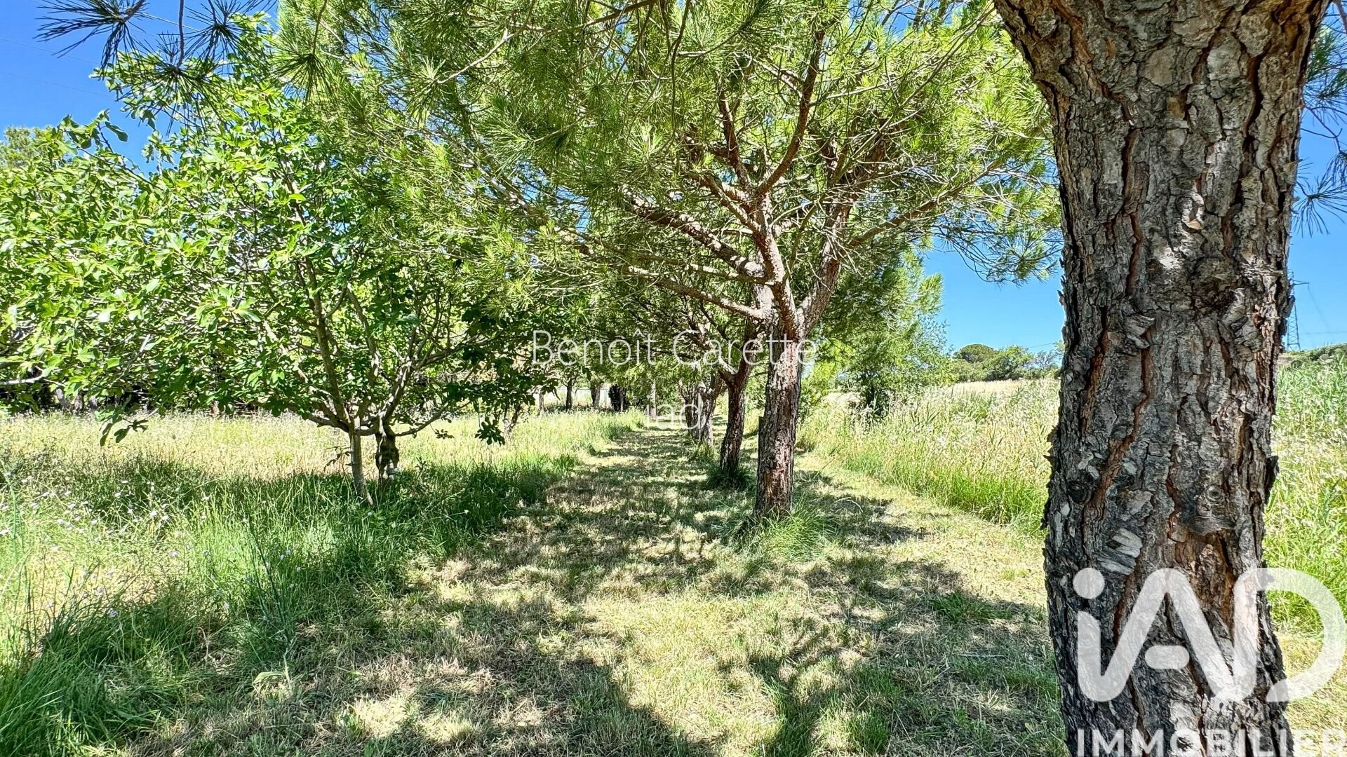Maison à vendre, 156m², Peyriac-de-Mer