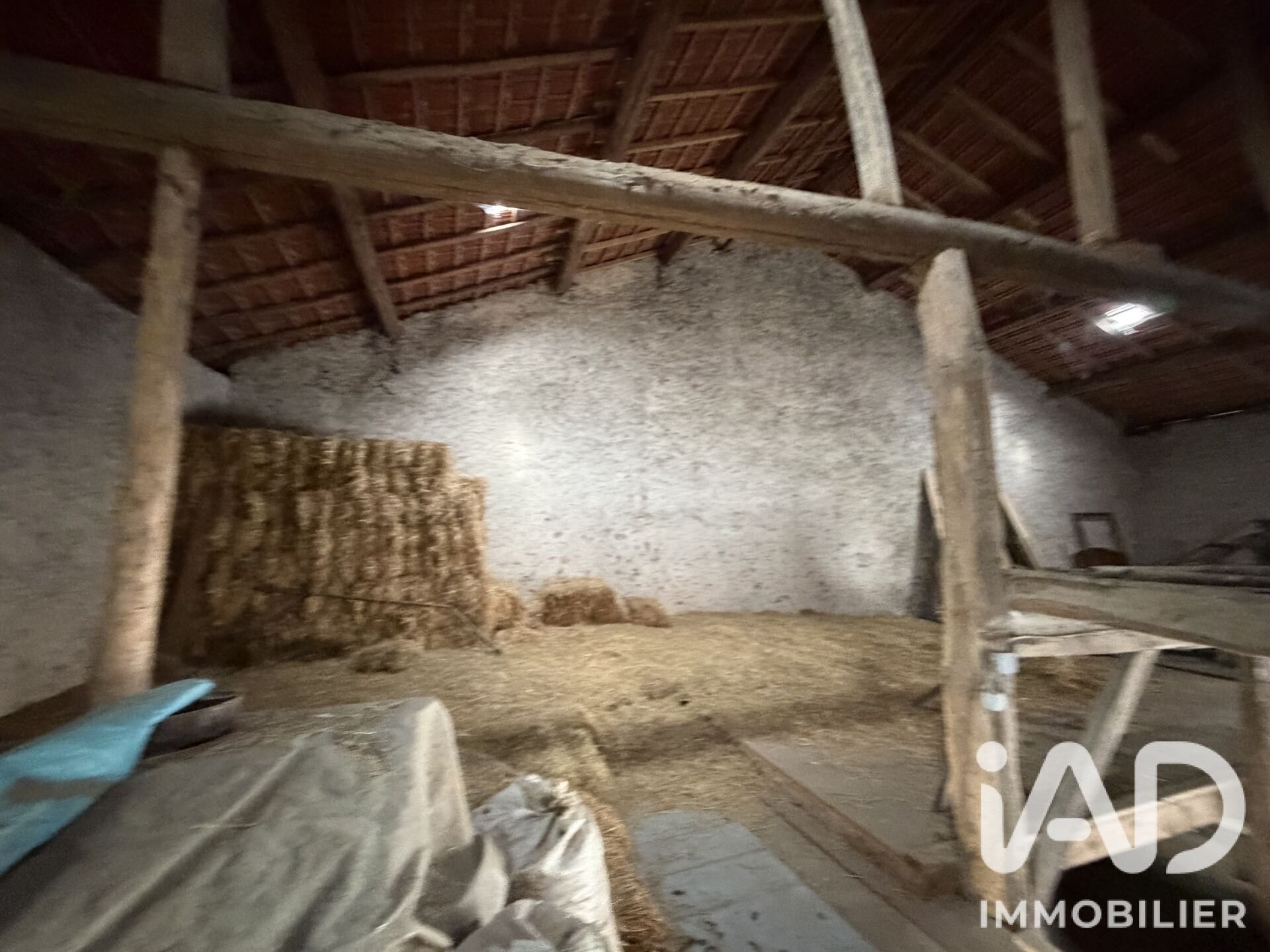 Maison à vendre, 450m², Bouzonville