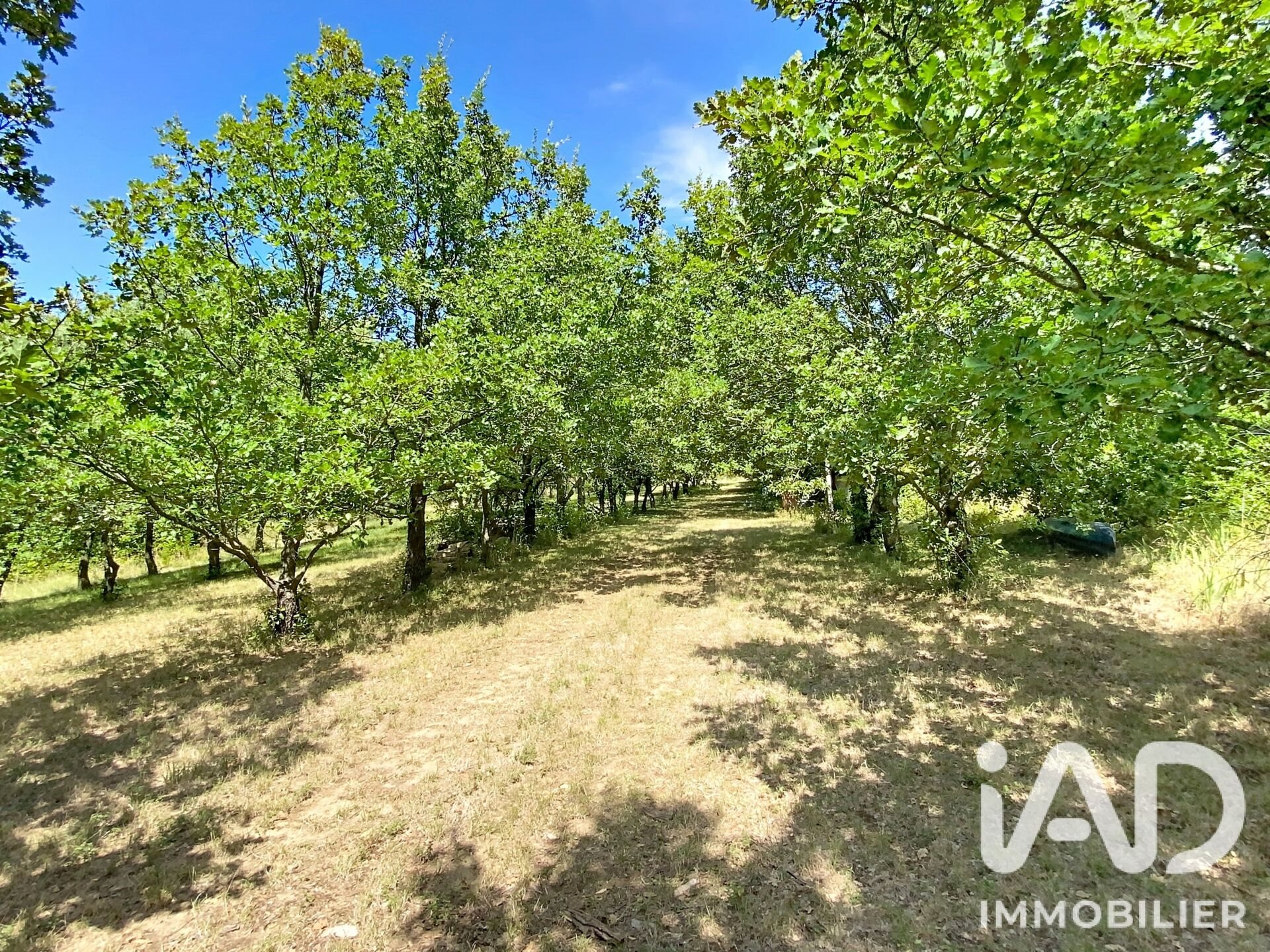 Maison à vendre, 330m², Marsanne