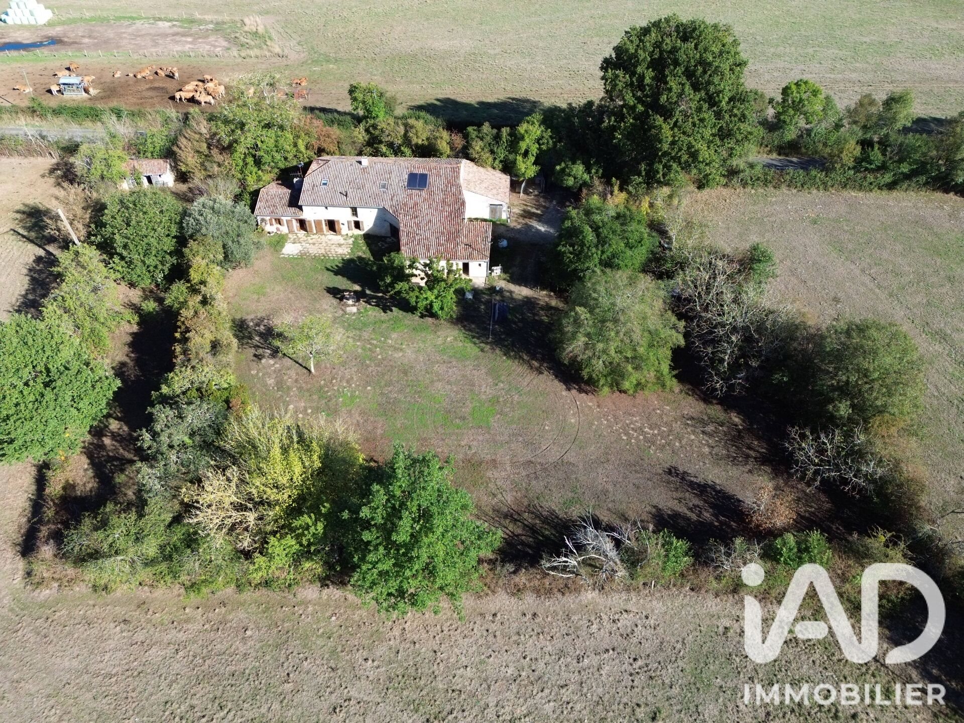 Maison à vendre, 190m², Champagné-Saint-Hilaire