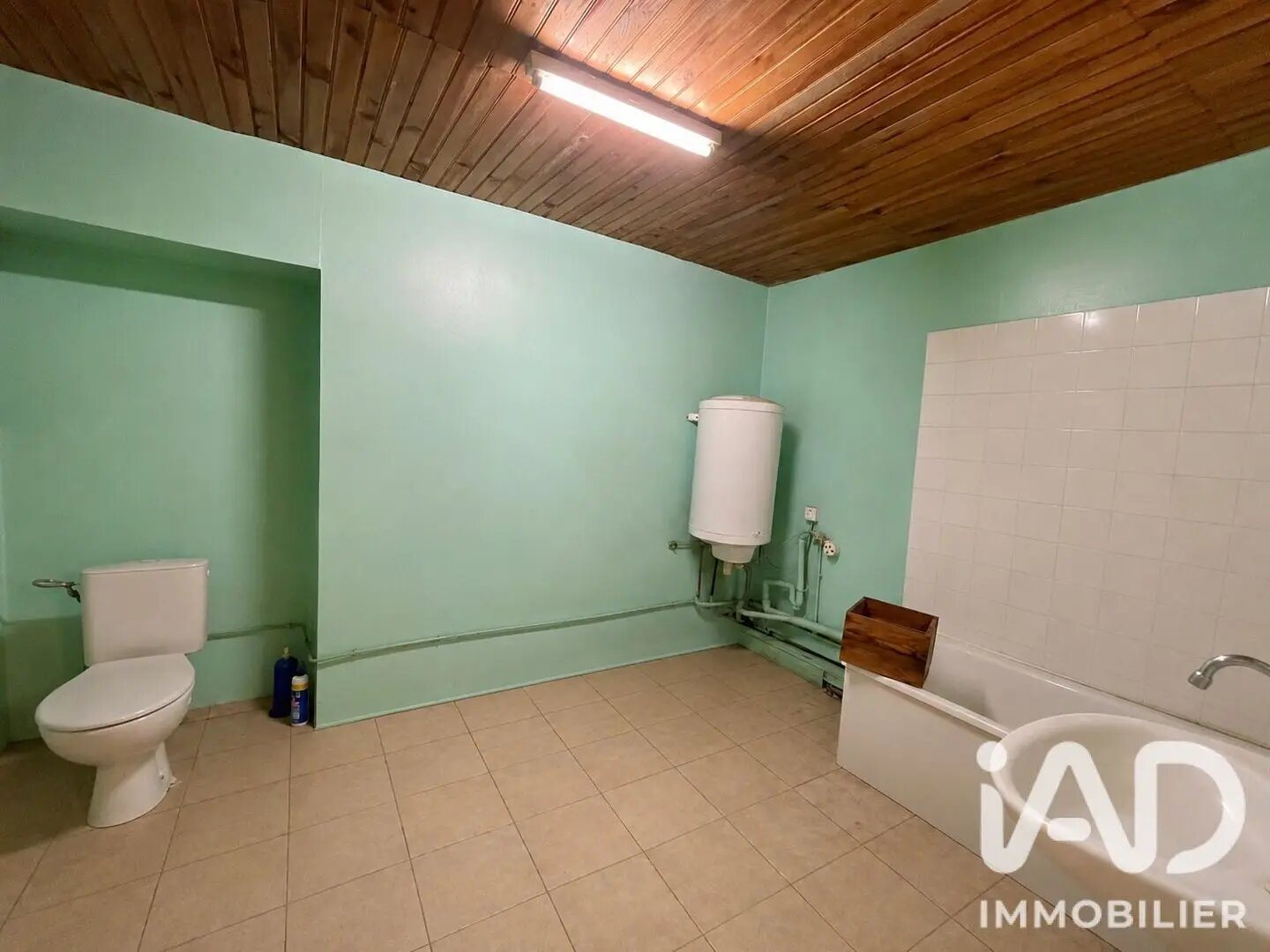 Maison à vendre, 125m², Châteauneuf-de-Galaure