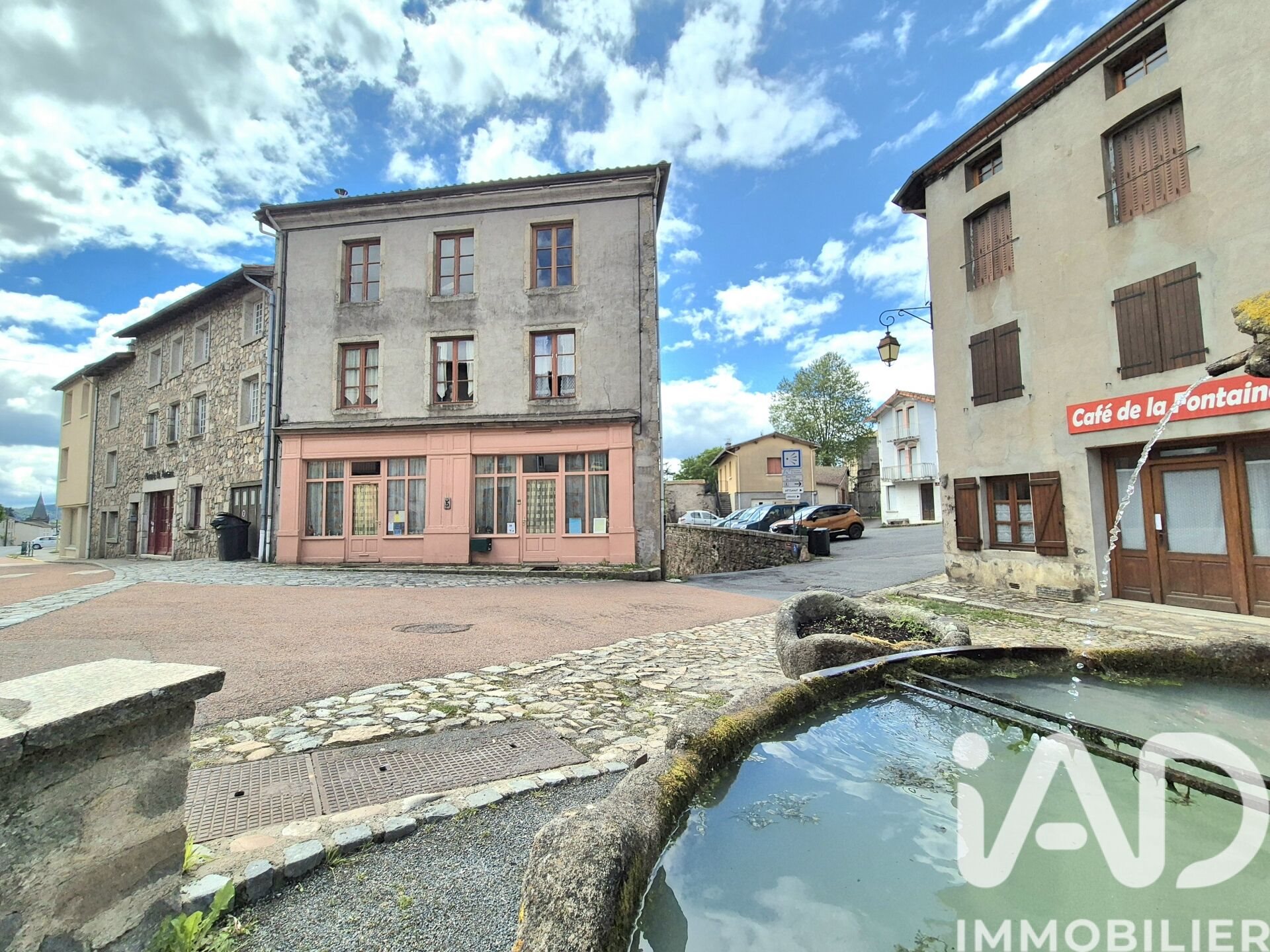 Maison à vendre, 355m², Saint-Just-en-Chevalet