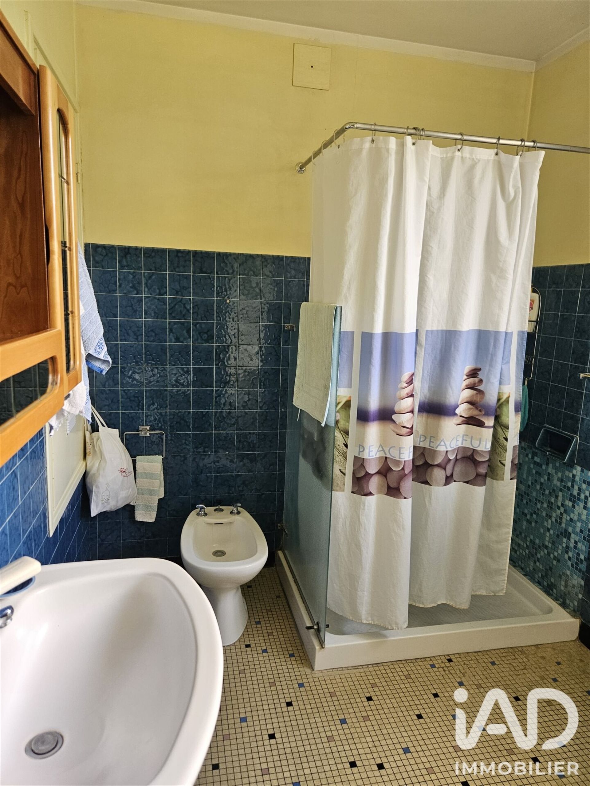 Maison à vendre, 110m², Pezou