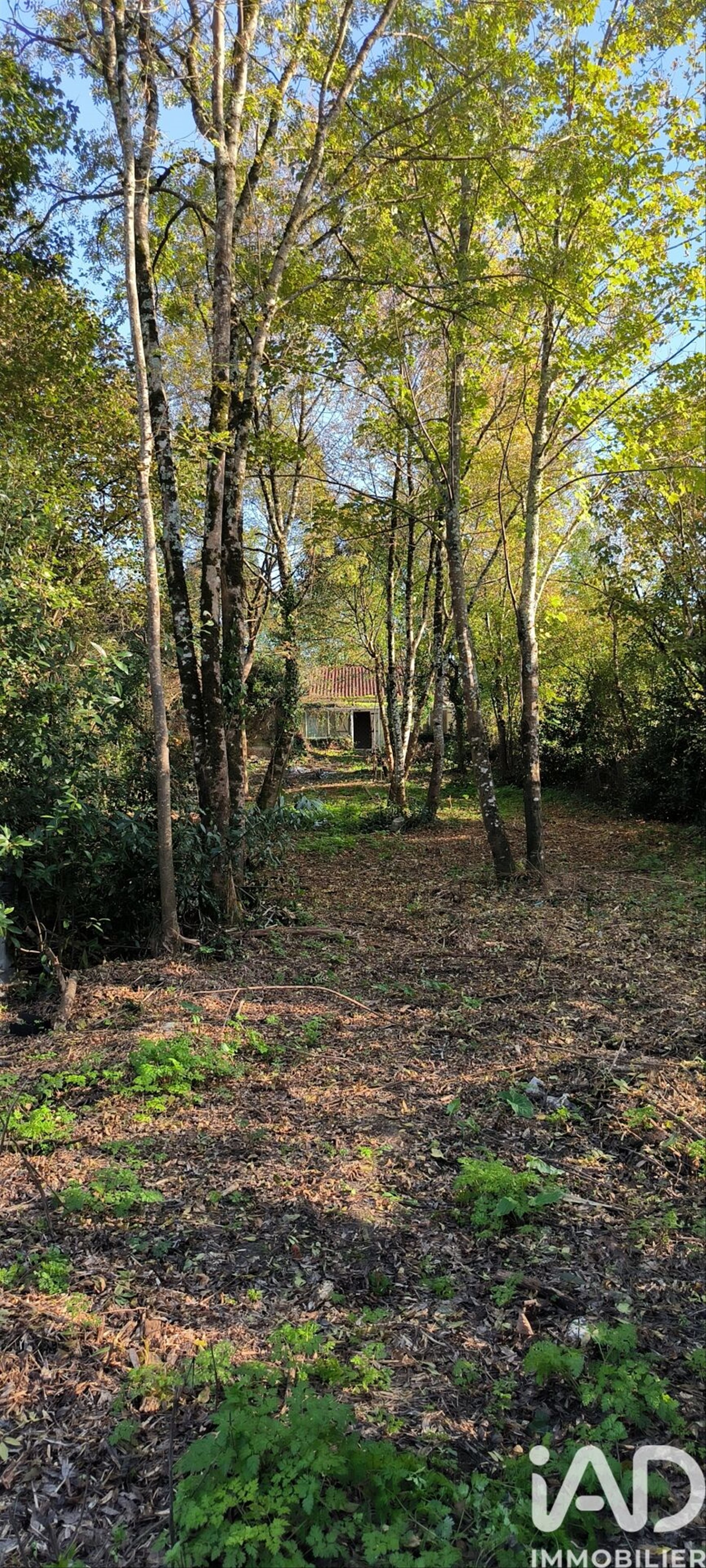Maison à vendre, 106m², Cognac