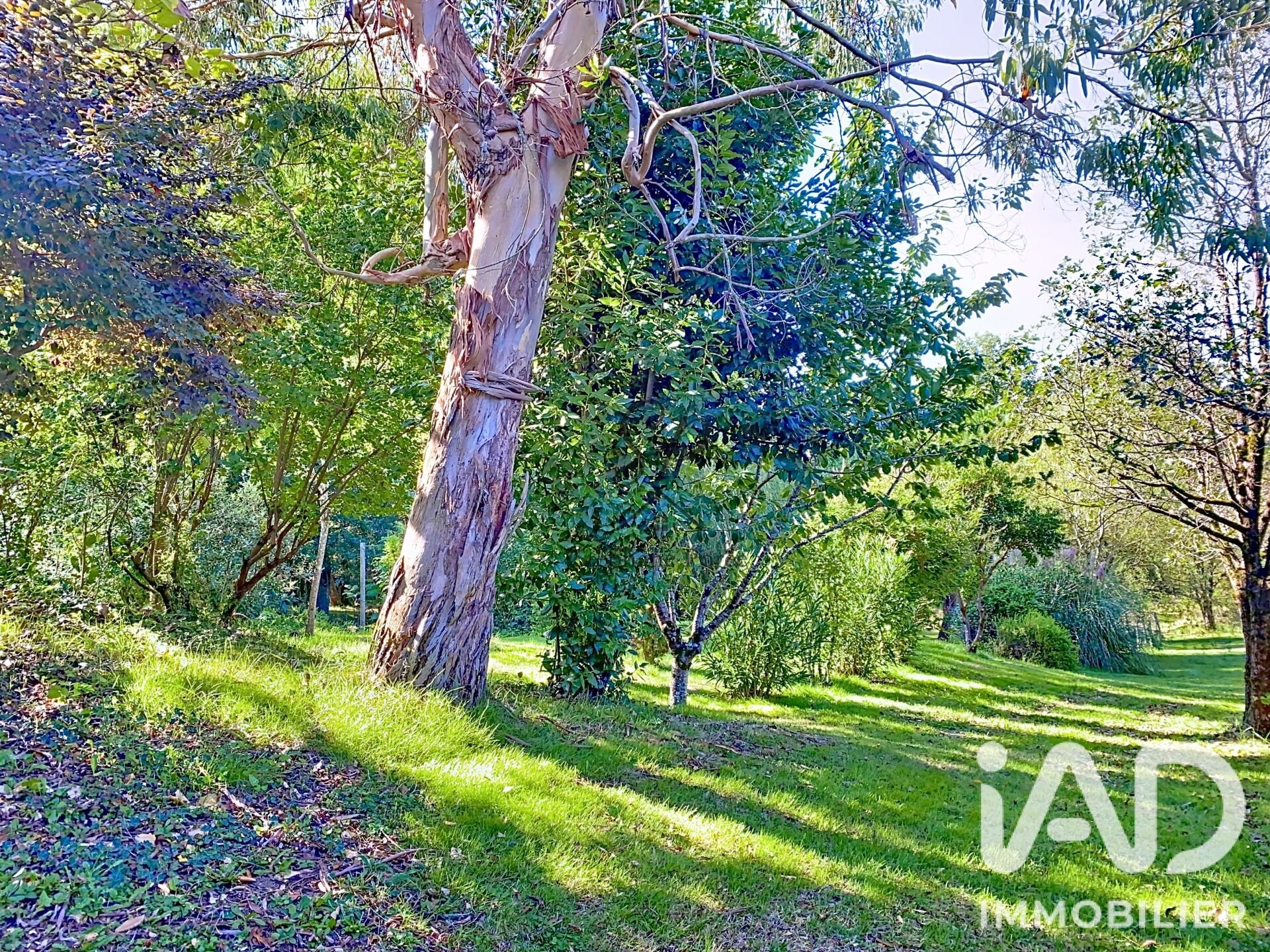 Maison à vendre, 112m², Monclar-de-Quercy