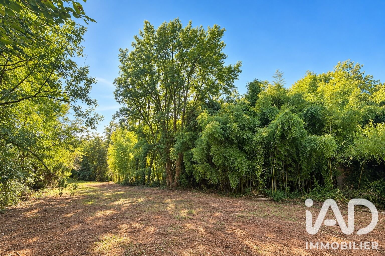 Maison à vendre, 210m², Juillac
