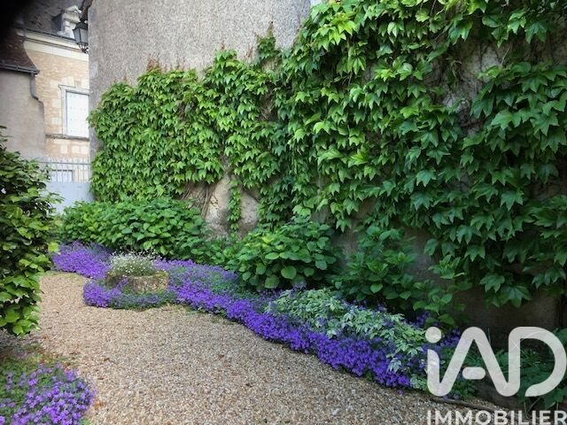 Maison à vendre, 215m², Le Grand-Pressigny