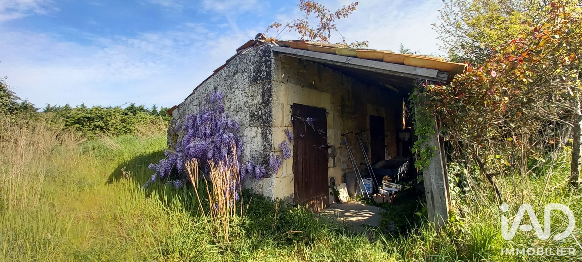 Maison à vendre, 236m², Saint-Bonnet-sur-Gironde