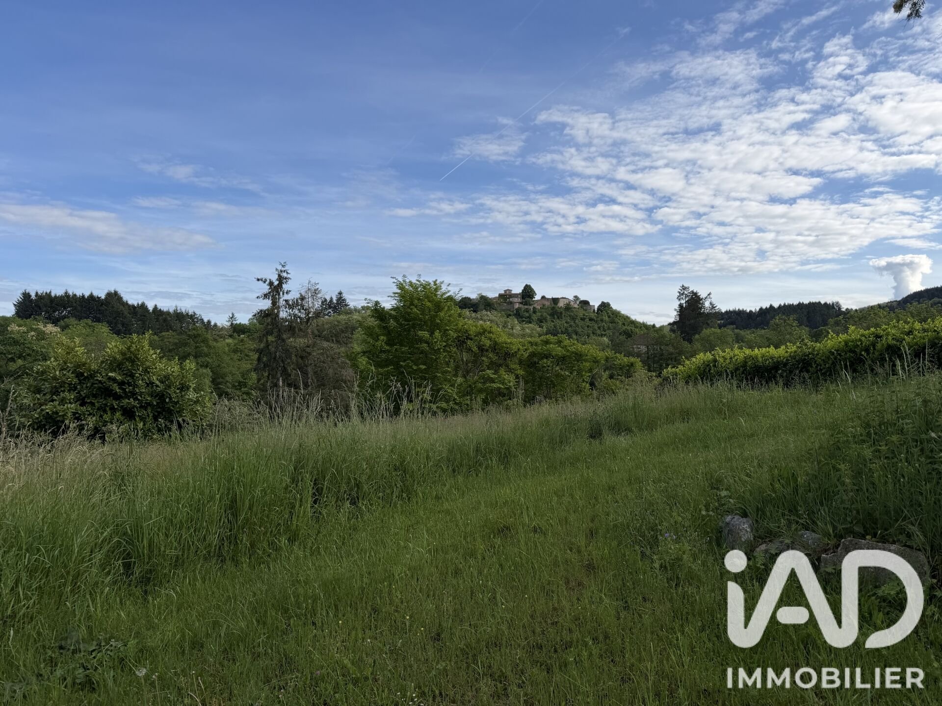 Maison à vendre, 330m², Saint-Haon-le-Vieux