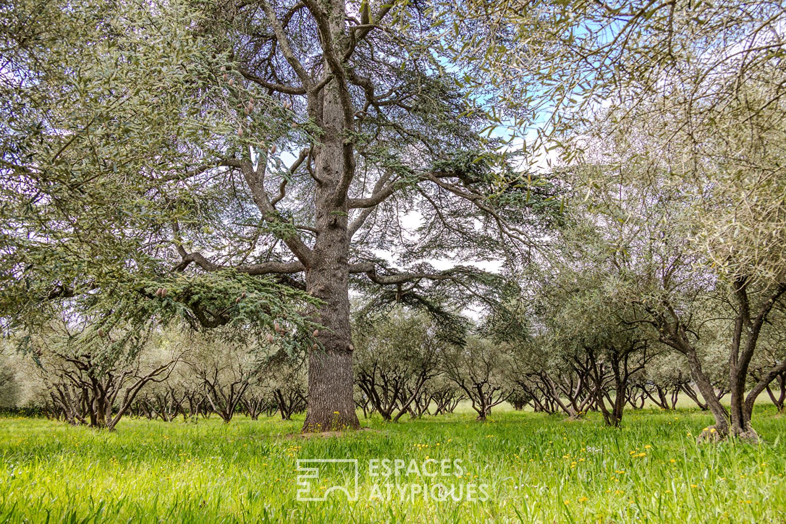 Maison à vendre, 545m², Puget-Ville