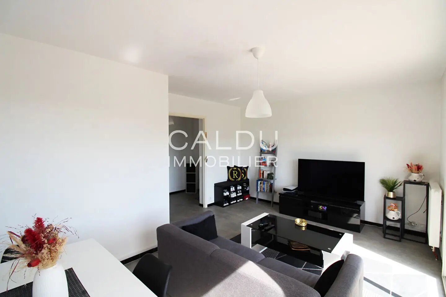 Appartement à vendre, 88m², Laragne-Montéglin